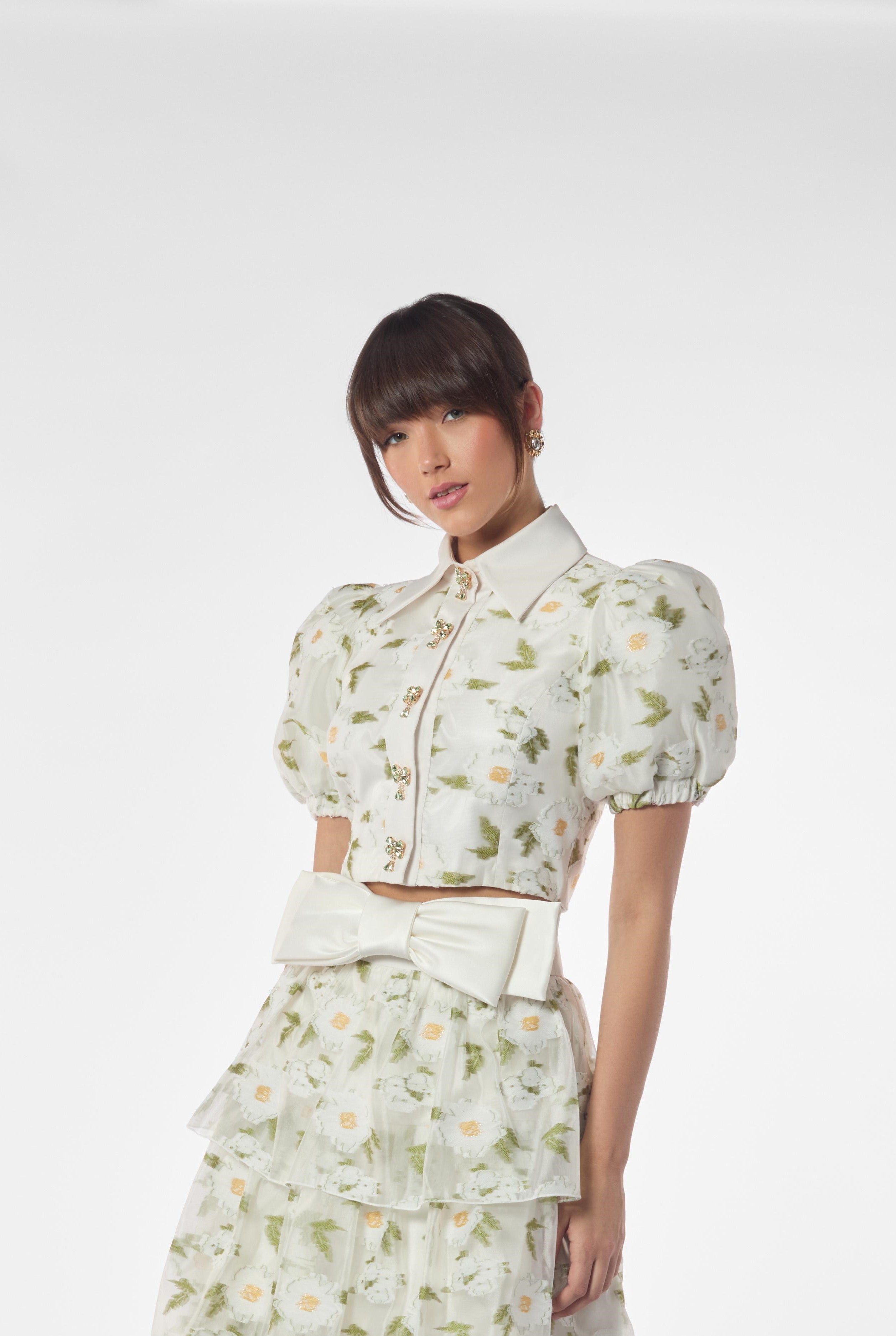 Floral Embroidered Collared  Puffy Sleeves Crop Top