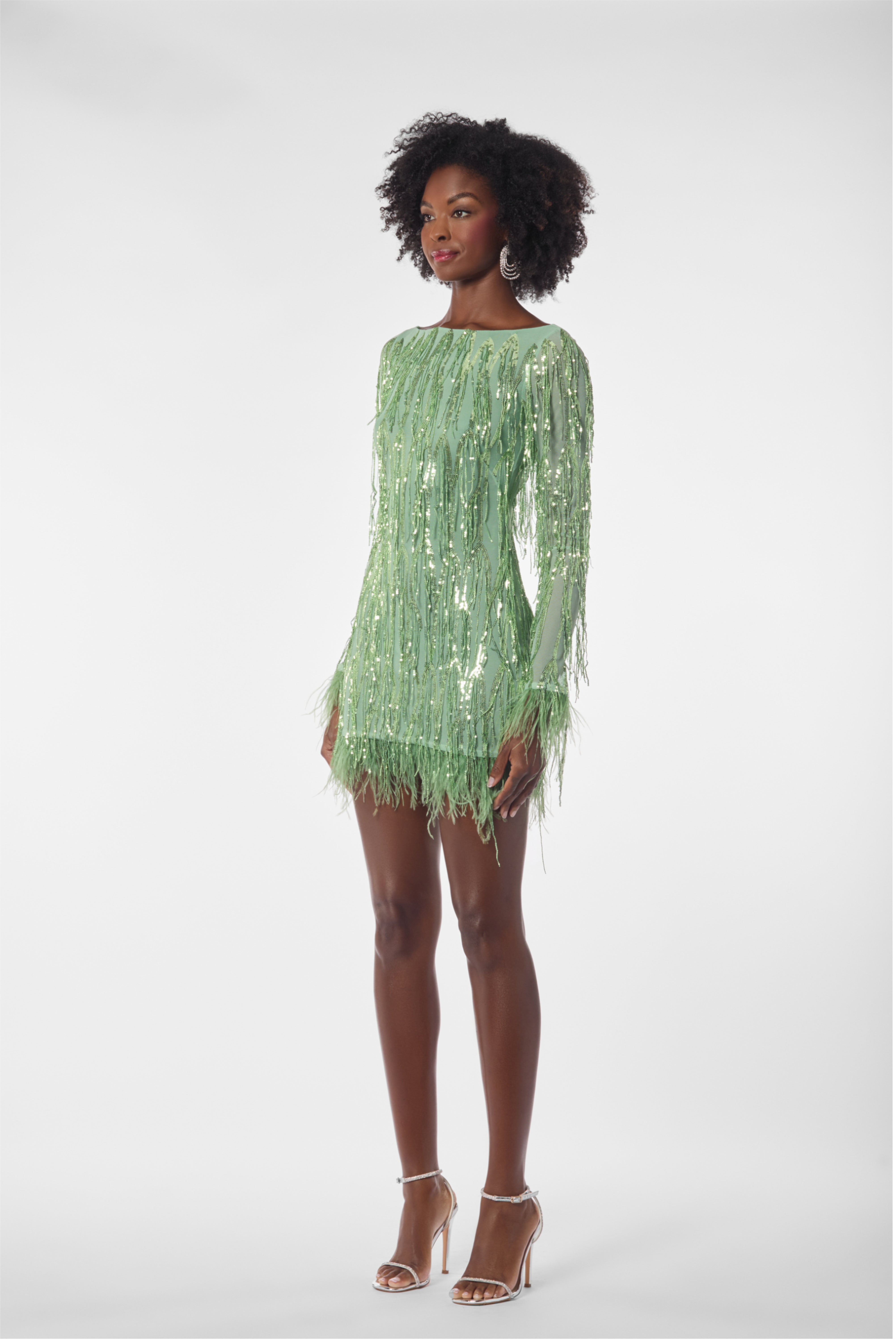 Fitted  Sequin Fringe Mini Dress